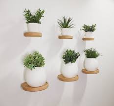 Set Of 3 Floating Plant Shelves
