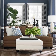 brown and blue interior color schemes