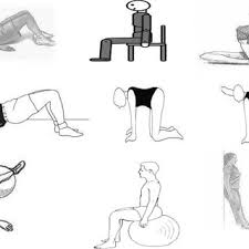 spinal ilization exercises