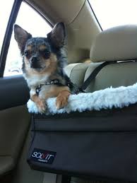 Solvit Medium Tagalong Dog Car Booster Seat