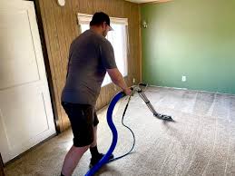 carpet cleaning services carpet cpr