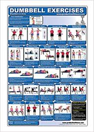 Laminated Dumbbell Exercise Poster Chart Shoulders And