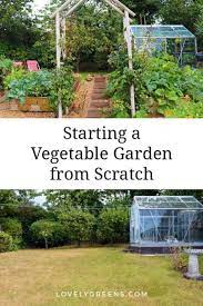 how to start a vegetable garden from