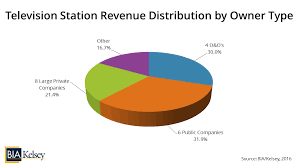 Bia Kelsey Estimates The Television Industry Total Revenue