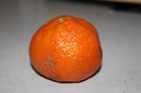 orange autopsy nutritious movement