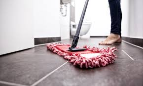 of the rose cleaning service llc from