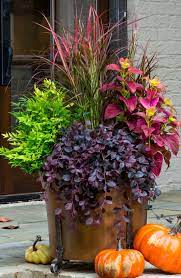 Fall Container Gardens