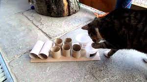 7 diy cat food puzzle toys that will