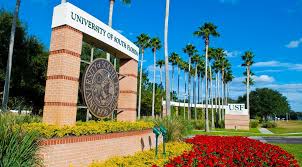 degrees at university of south florida