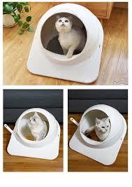 Reviews of cat litter boxes and other related cat products. Best Sellers In Usa 2020 Automated Cat Litter Box Scoop Free Self Cleaning Litter Tray Liners Cat Litter Box Buy Automated Cat Litter Box Scoop Free Self Cleaning Cat Litter Box Litter Tray