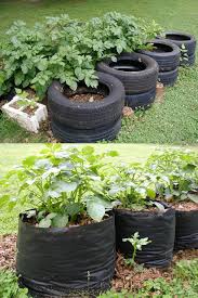 grow potatoes in containers bags 8