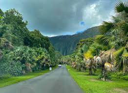 5 must visit oahu botanical gardens