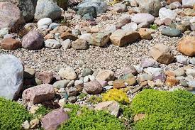 Decorative landscape rock garden pictures ideas. Rock Garden Ideas Garden Rocks Garden Rock Plants