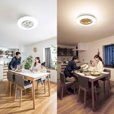 Japanese Ceiling Fan風扇led Light