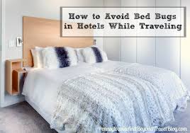 how to avoid bed bugs in hotels while