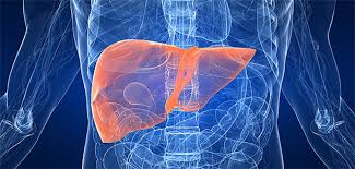 It sometimes causes permanent liver damage. Heilung Bei Chronischer Hepatitis B Moglich