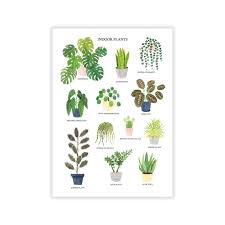 House Plants Print Watercolour Plant