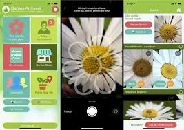 plant identification apps choose from