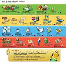 What Is One Food Guide Serving By Health Canada Click