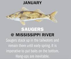 Illinois Fishing Calendar 2019