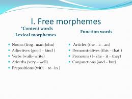 Grammatical morphemes specify a relationship between other morphemes. Types Of Morphemes Lec Ppt Video Online Download