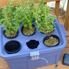 hydroponic tubs a build it yourself