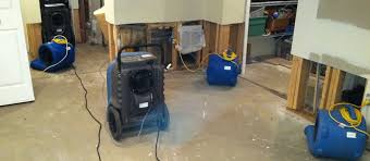 Flooded Basement Water Damage Cleaning