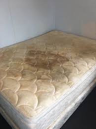 mold in mattress symptoms and solutions