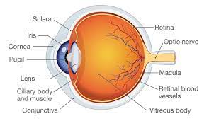 eye floaters what causes them and