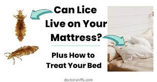 how long do lice live on a mattress