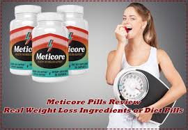 Image result for meticore ingredients