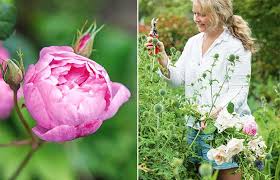 How To Grow Flowers All Year Blueskin