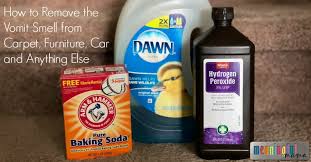 How to get rid of bleach smell in car. How To Remove The Vomit Smell From Carpet Furniture Car And Anything Else How To Remove The Vomit Smell From Carpet Furniture Car And Anything Else