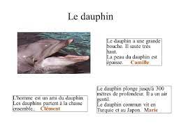 Le dauphin Les dauphins sautent; ils vivent dans la mer. Camille - ppt  télécharger