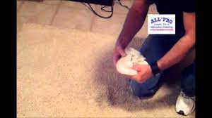 pro carpet tile upholstery cleaning