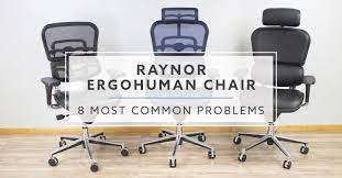 raynor ergohuman chair