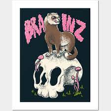 ferret posters and art prints