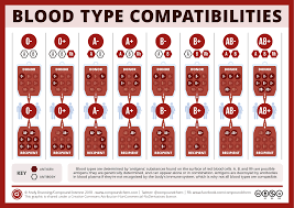 National Blood Donor Month Blood Type Compatibilities