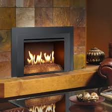 Gas Stoves Fireplaces And Inserts