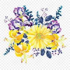 watercolor flowers transpa vector