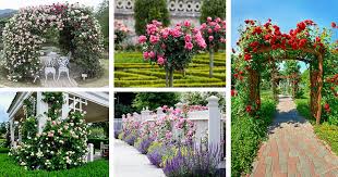 30 Beautiful Rose Garden Ideas For Your