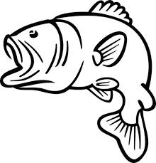 Bass Fish Outline Coloring Pages Best Place To Color Scroll Saw