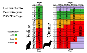 Image Result For Chart That Gives Age Comparison Of Dogs