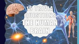Built by trivia lovers for trivia lovers, this free online trivia game will test your ability to separate fact from fiction. 15 Trivia Questions Anatomy 2021 Youtube