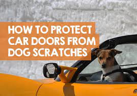 Protect Car Doors From Dog Scratches