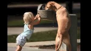Image result for pictures of people doing acts of kindness