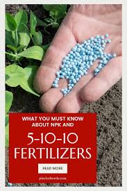 5 10 10 fertilizer what is it how to