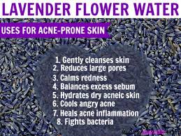 Check spelling or type a new query. Benefits Of Lavender Hydrosol For Acne Properties How To Use Beautymunsta Free Natural Beauty Hacks And More