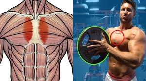 the only inner chest workout you need