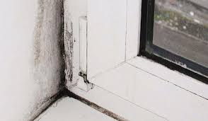 Schimmel in der wohnung kann viele ursachen haben: Schimmel Am Fenster Oder Fensterrahmen Einfach Entfernen